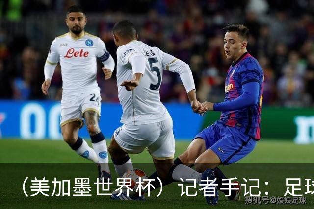 （美加墨世界杯）记者手记：足球世界，规则谁定？